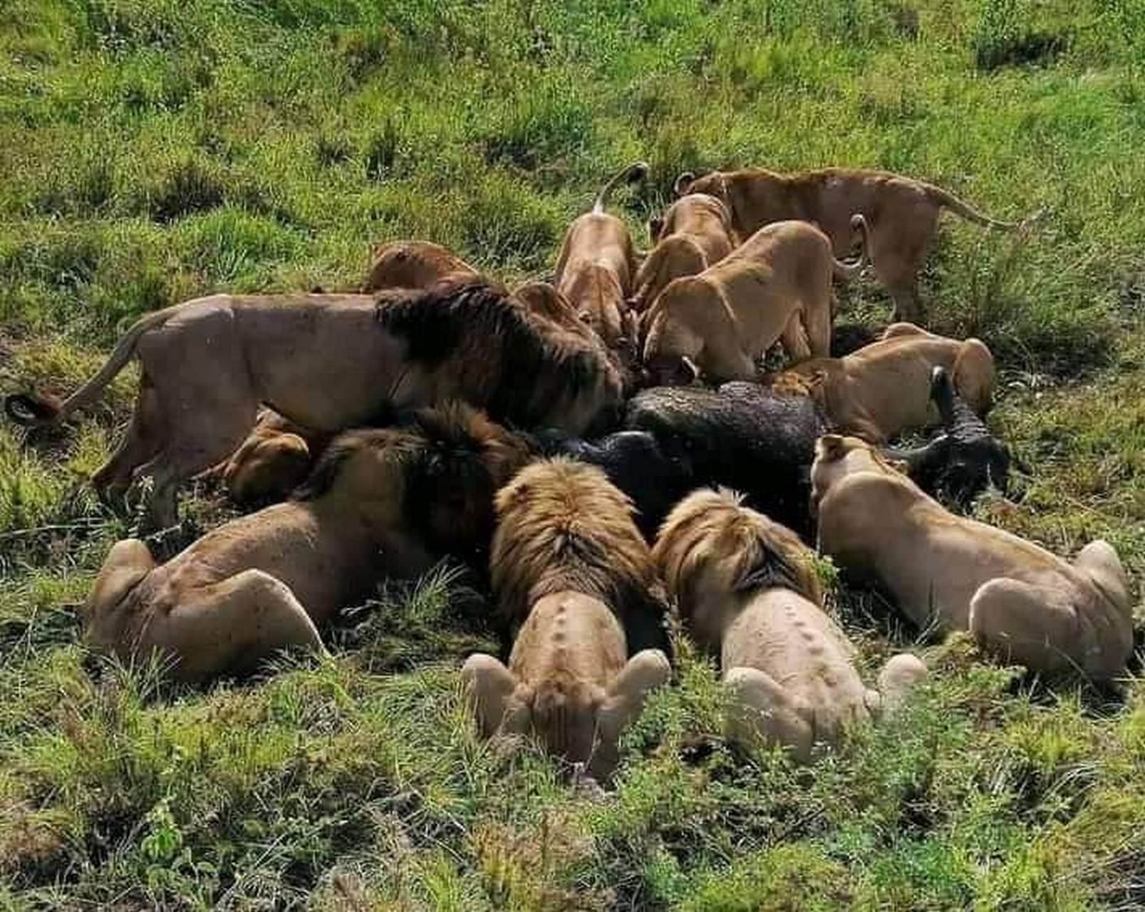 Paesaggi spettacolari dello Tsavo Est